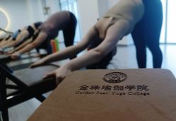 点击看大图 -金珠瑜伽普拉提学院