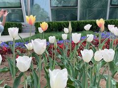 -石家庄市植物园