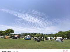-上海滨江森林公园