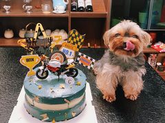 -CarolCake卡萝家(锦华万达店)