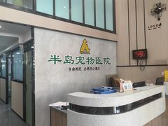 -半岛宠物医院24小时(科华中路店)