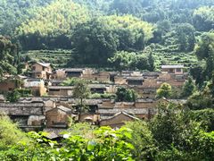 -杨家堂村