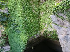 -蛇蟠岛