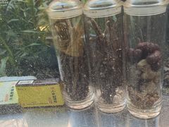 -广州神农草堂中医药博物馆