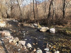 -玉渡山自然风景区