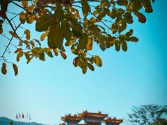 -东山湖温泉度假村