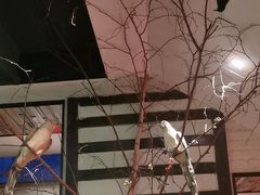 -可口香·非遗老号烧烤(南岗直营店)