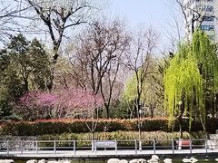 -莲湖公园
