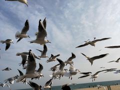 -海云台海滩