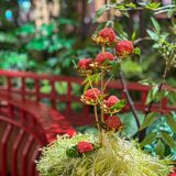 在广州‼️解锁一家连老广都排队的餐厅