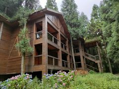 -武陵山森林公园