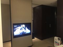 -成都峨眉雪芽大酒店
