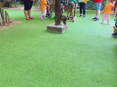 -呀路古热带植物园