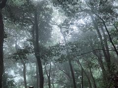 -灵顺寺