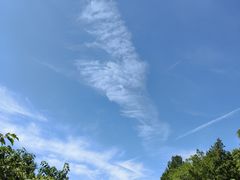 -红光山