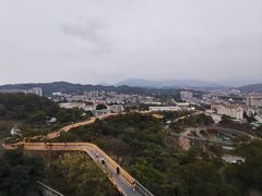 -福道
