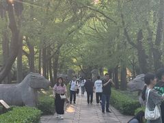 -明故宫遗址公园