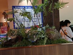 -陕西自然博物馆