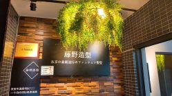 点击看大图 -藤野造型