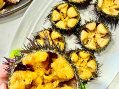 -大锅强·蒸海鲜青岛菜(金沙滩店)