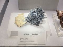 -湖南省地质博物馆