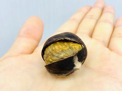 冰栗仁-粒上皇(崇文门店)