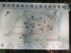 -铁山坪森林公园