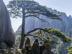 -黄山风景区