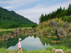 -仙湖旅游度假区