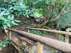 -三千院