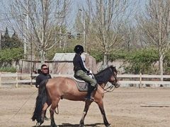 -北京群众马术培训基地