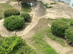 -无锡动物园·太湖欢乐园