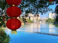 -荔湾湖公园