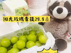 -ALDI奥乐齐超市(浦东大华锦绣优嘉店)