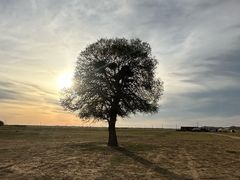 -亿利库布其七星湖沙漠生态旅游区