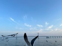 -星海广场