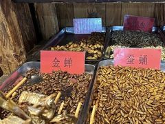 -昆虫窝子·特色云南菜(拓东路总店)