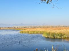 -野鸭湖国家湿地公园