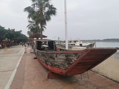 -大湾区中央湿地公园-十九涌