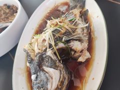 -坛南湾阿强农家乐.海鲜大排档老字号(福州地标美食店)