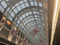 -奥黑尔国际机场