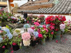 -伴山茶苑·围炉煮茶