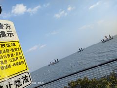 -贡湖湾湿地公园
