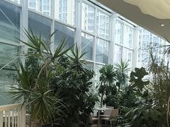 -大树餐厅(红旗街万达店)