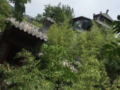 -老张烤羊(王哥庄店)