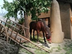 -呼和浩特博物馆