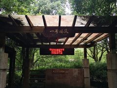 -九曲溪竹筏码头