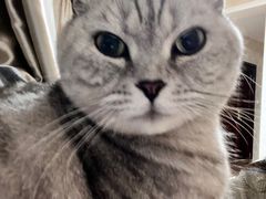 -伟伟宠物医院·CT影像中心·瑞派犬猫综合性门诊(汉口总院)