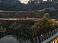 -福道