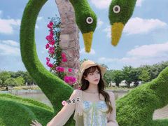 -鹅湖玫瑰文化园
